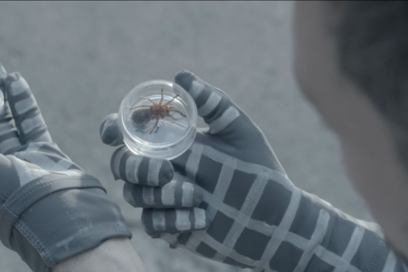 07_France5_Spiderman1